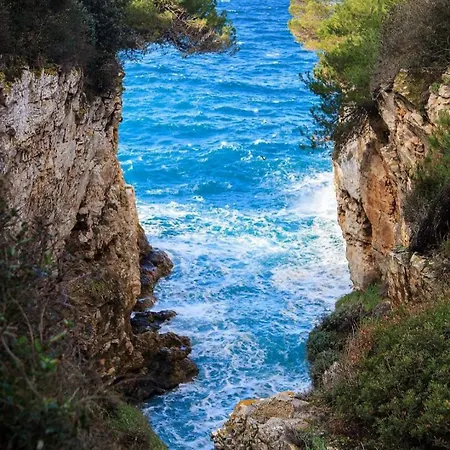 Large Specious Lejlighed *