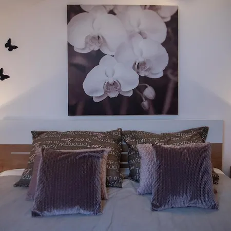 Large Specious Apartment Pula