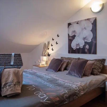 Apartamento Large Specious *