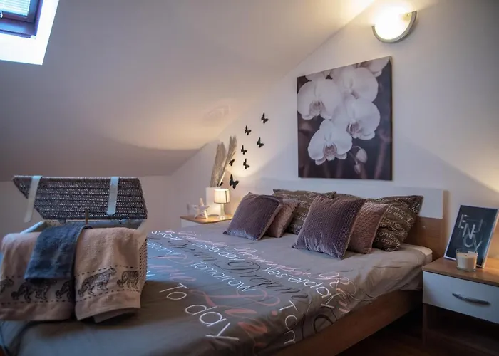 Apartamento Large Specious *