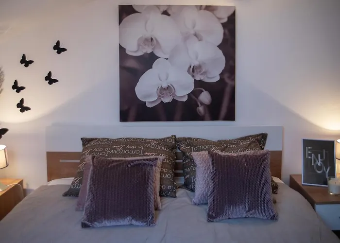 Large Specious דירה פולה